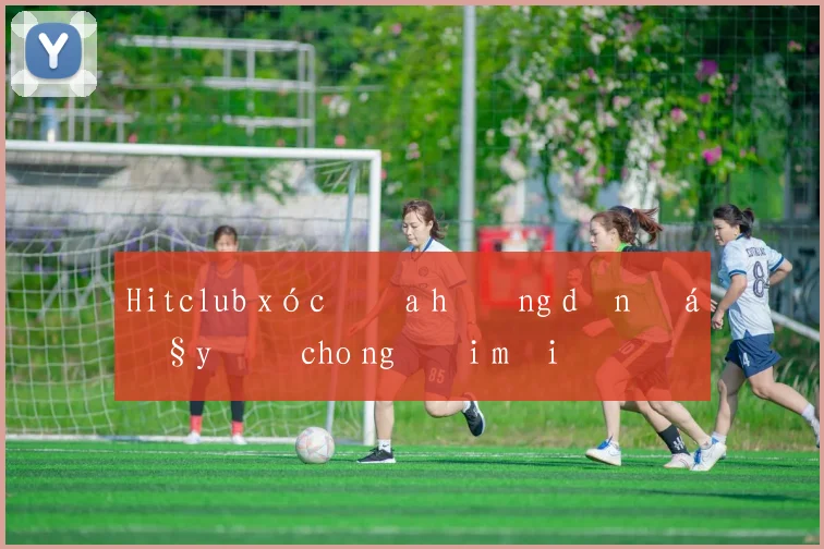 Hitclub xóc đĩa hướng dẫn đầy đủ cho người mới