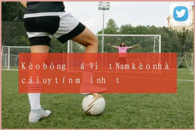 Kèo bóng đá Việt Nam kèo nhà cái uy tín mới nhất