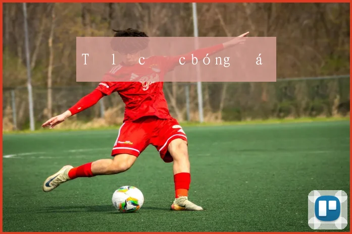 Tỷ lệ cược bóng đá ý
