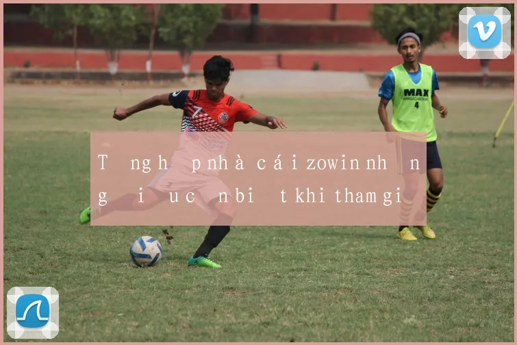 Tổng hợp nhà cái zowin những điều cần biết khi tham gia